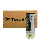 CAJON DE 24 BOTES DE 3 PELOTAS TECNIFIBRE PADEL TEAM - Padel Planet